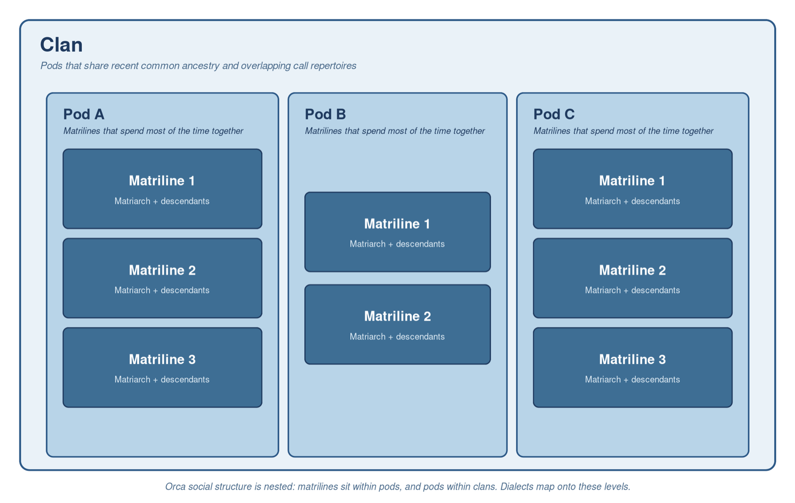 Diagram: a clan is made of pods, and each pod is made of matrilines of a mother and her descendants