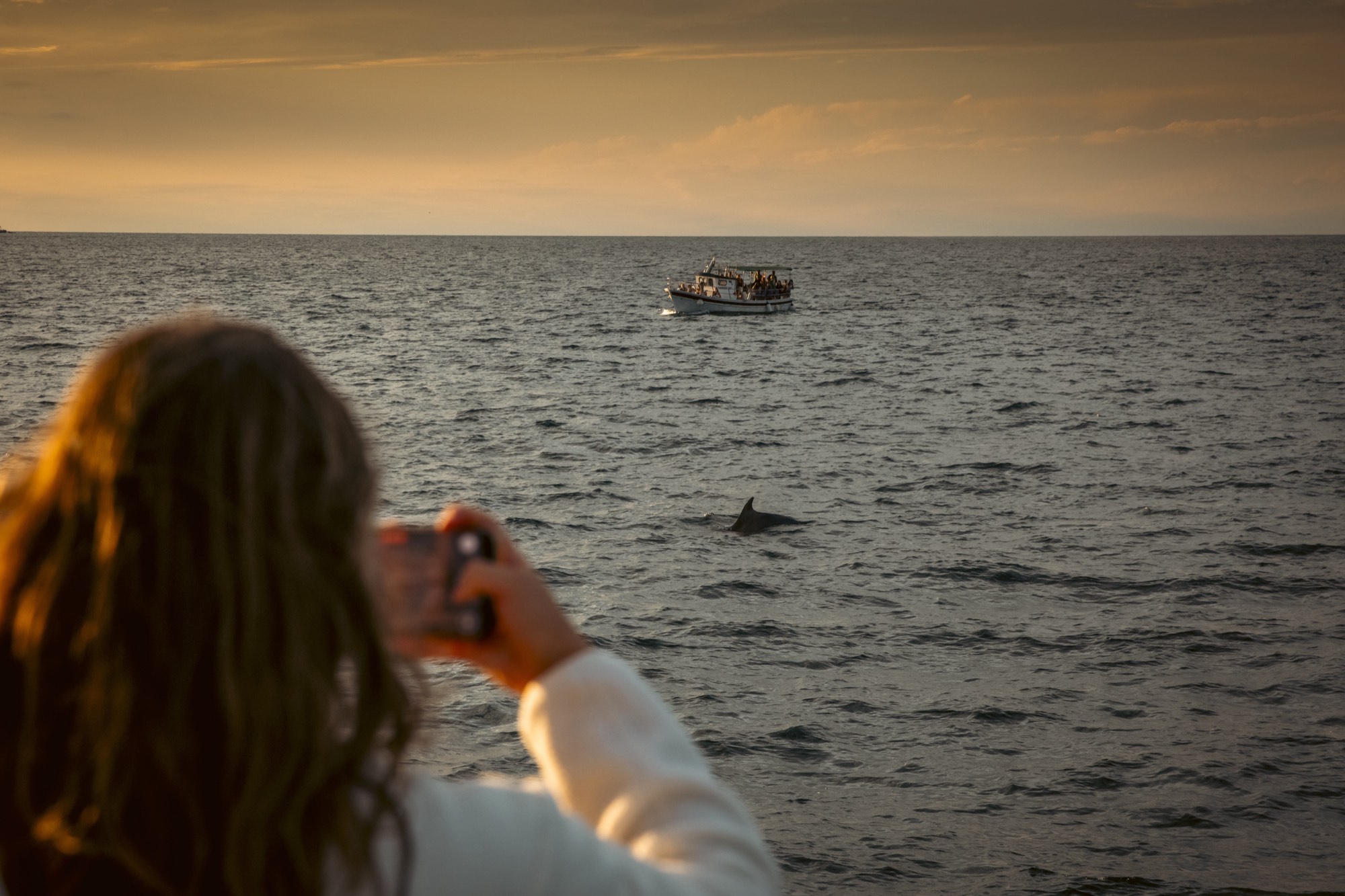 A woman photographing whales from a boat at sunset